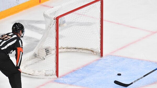    © Sputnik / Максим Богодвид