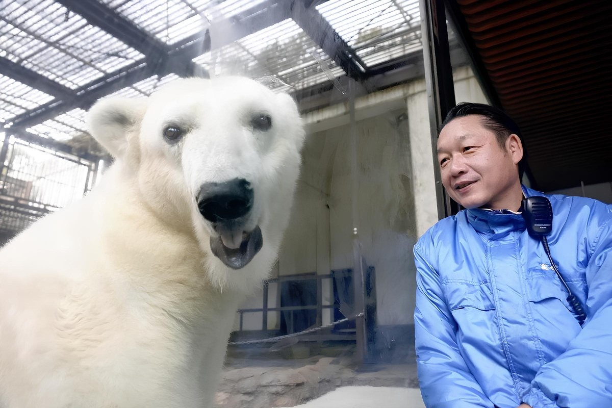 Фото: японская газета Yomiuri Shimbun.