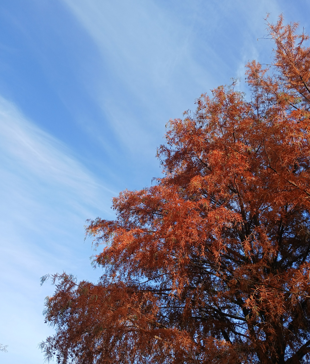 Осень в Грузии. 