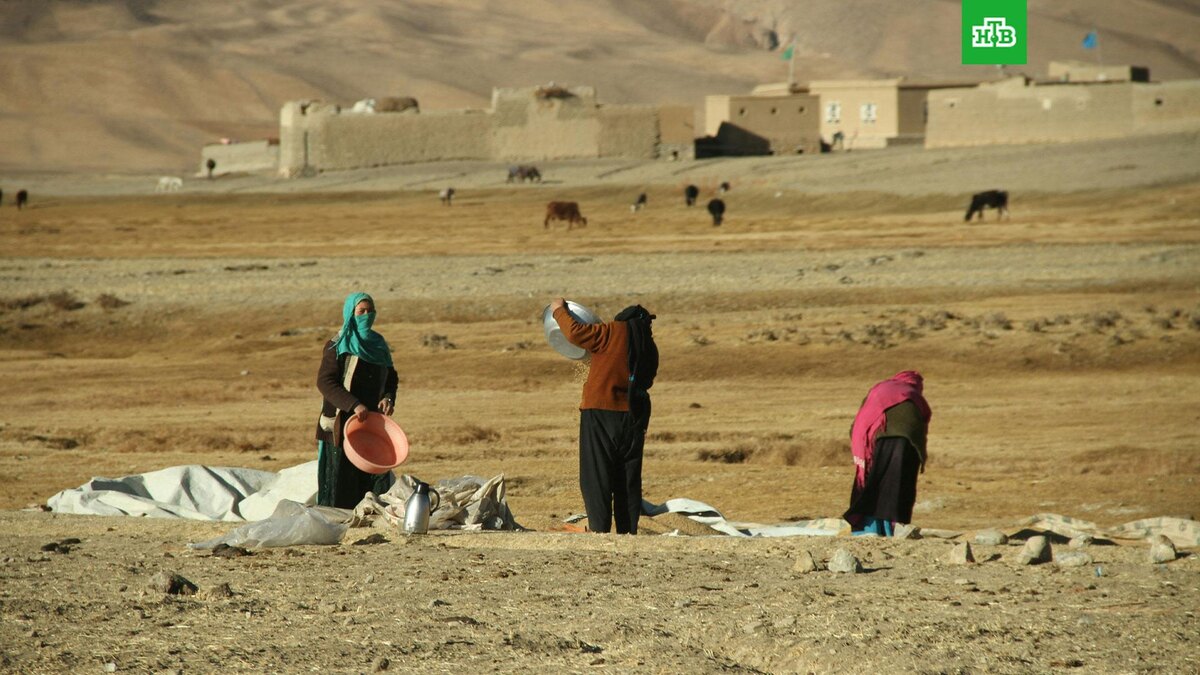    Фото: Farid Ershad / unsplash.com