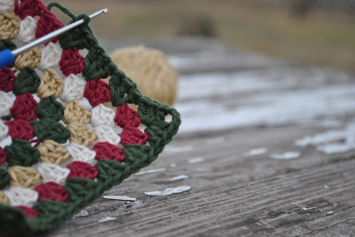 фото автора.