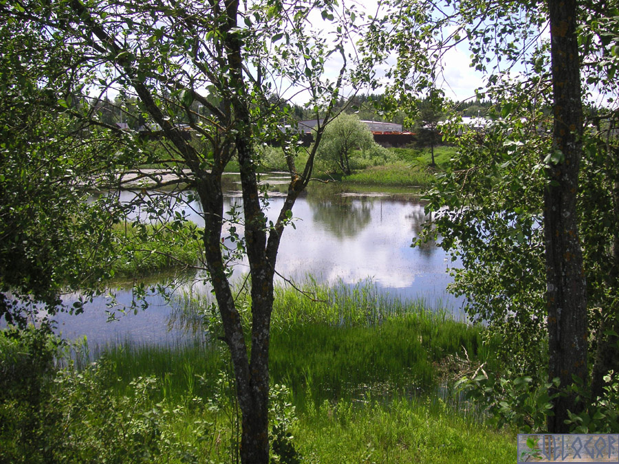 Секиотово, пруд