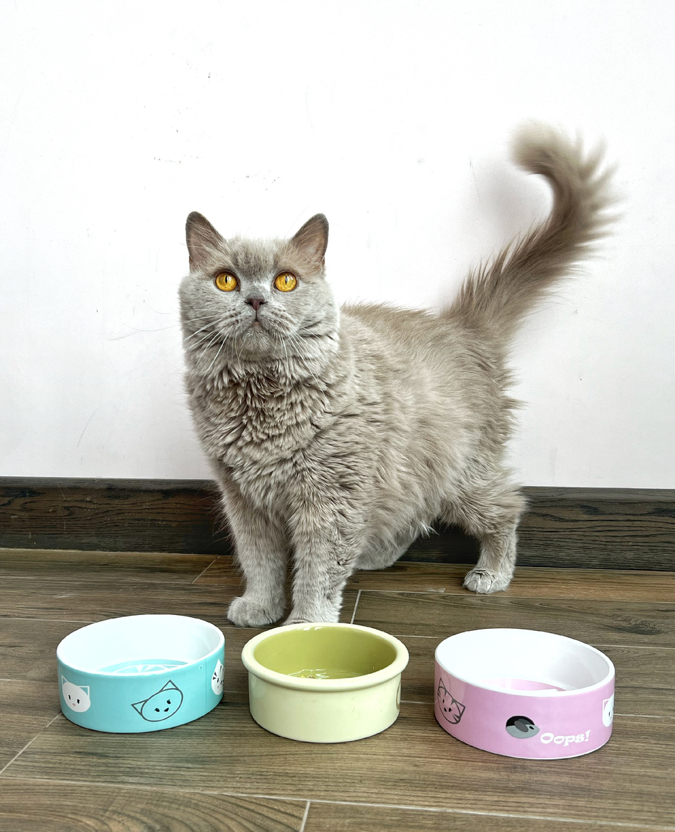 больше мисок с едой- меньше конфликтов