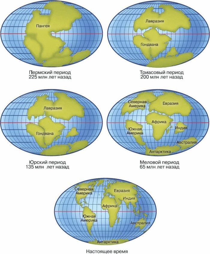 (1) Планета Земля: история материков и океанов. Источник рисунка – Николай Сонин. Общая биология. 11 класс. Углубленный уровень. М.: Дрофа, 2013
