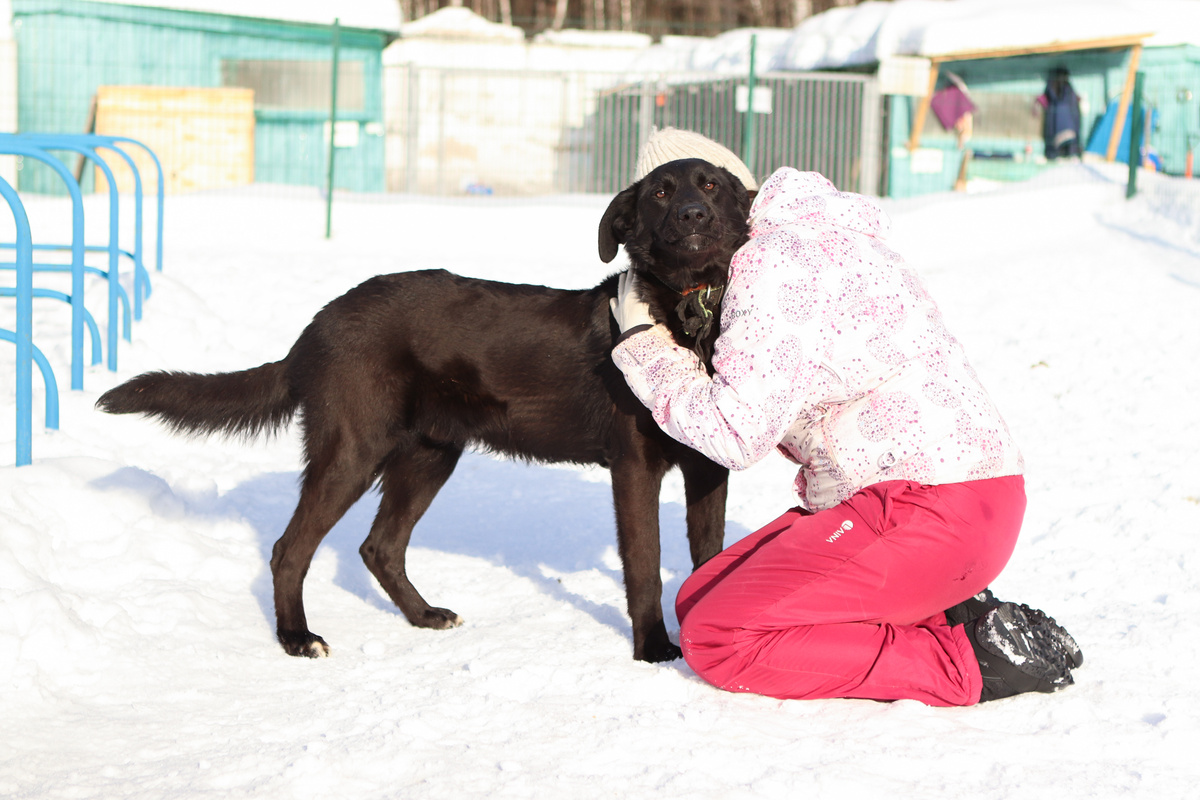 Я так жду людей и не делю волонтер это или гость приюта