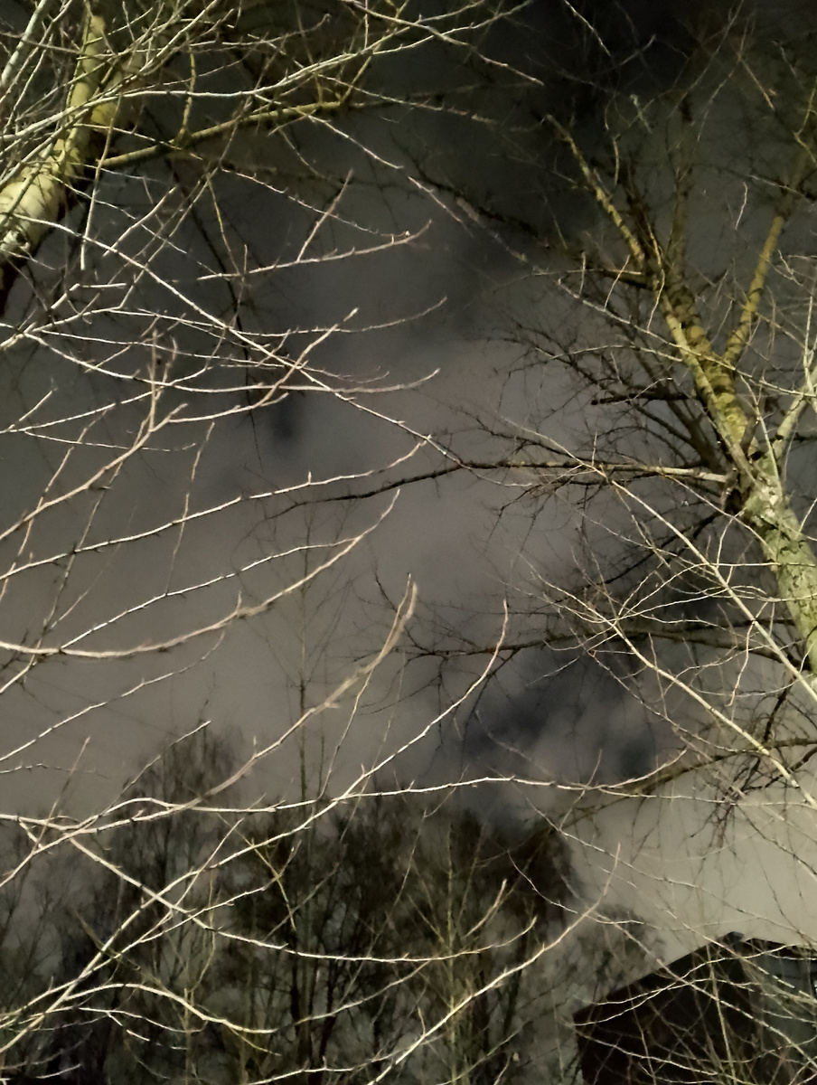 Небо 02.12.2024, фото автора