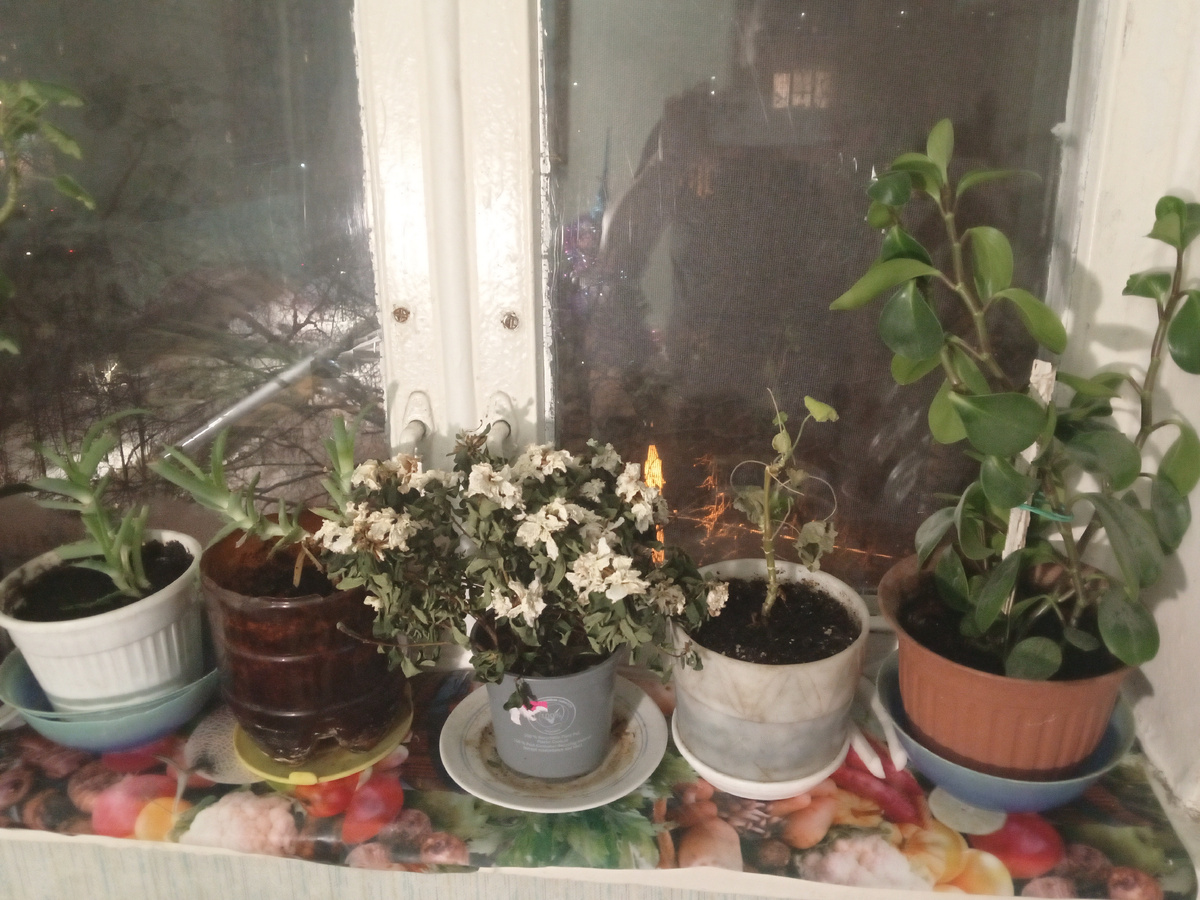 Глухозимье 