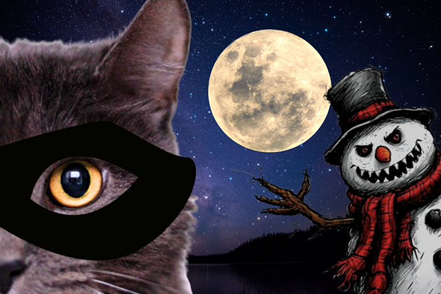 Тверской Бэтмен, бездомный кот, стал символом новогодней акции