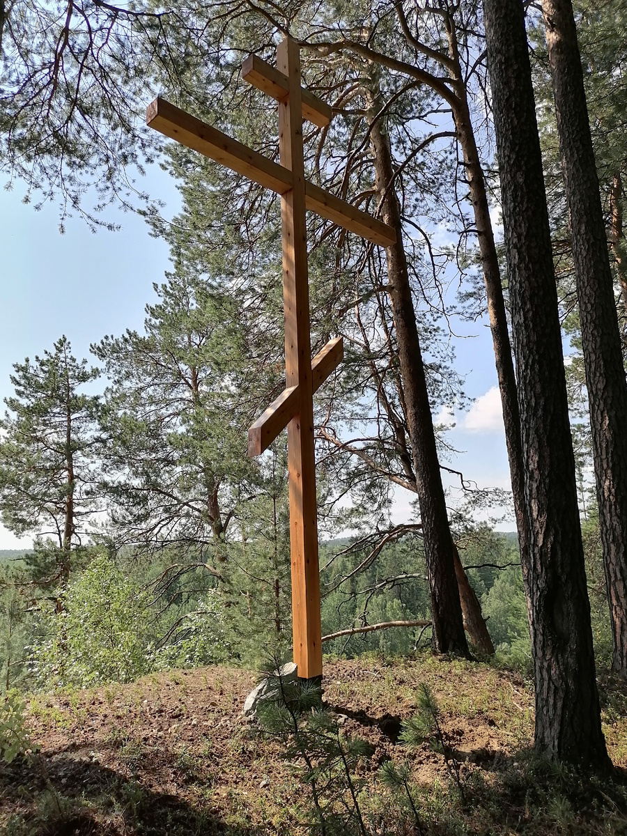 Очень жаль конечно, что эта история началась с трагических событий для нашей семьи.