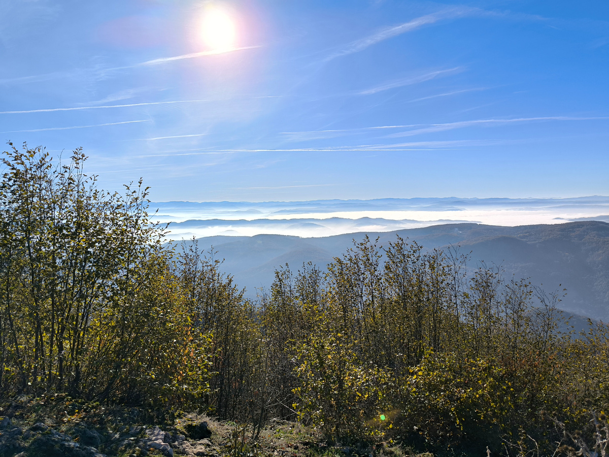 Вид с горы Овчар