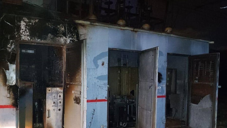    Автор фото: УТ МВД России по СЗФО