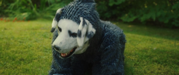 вот такой он, квадробер