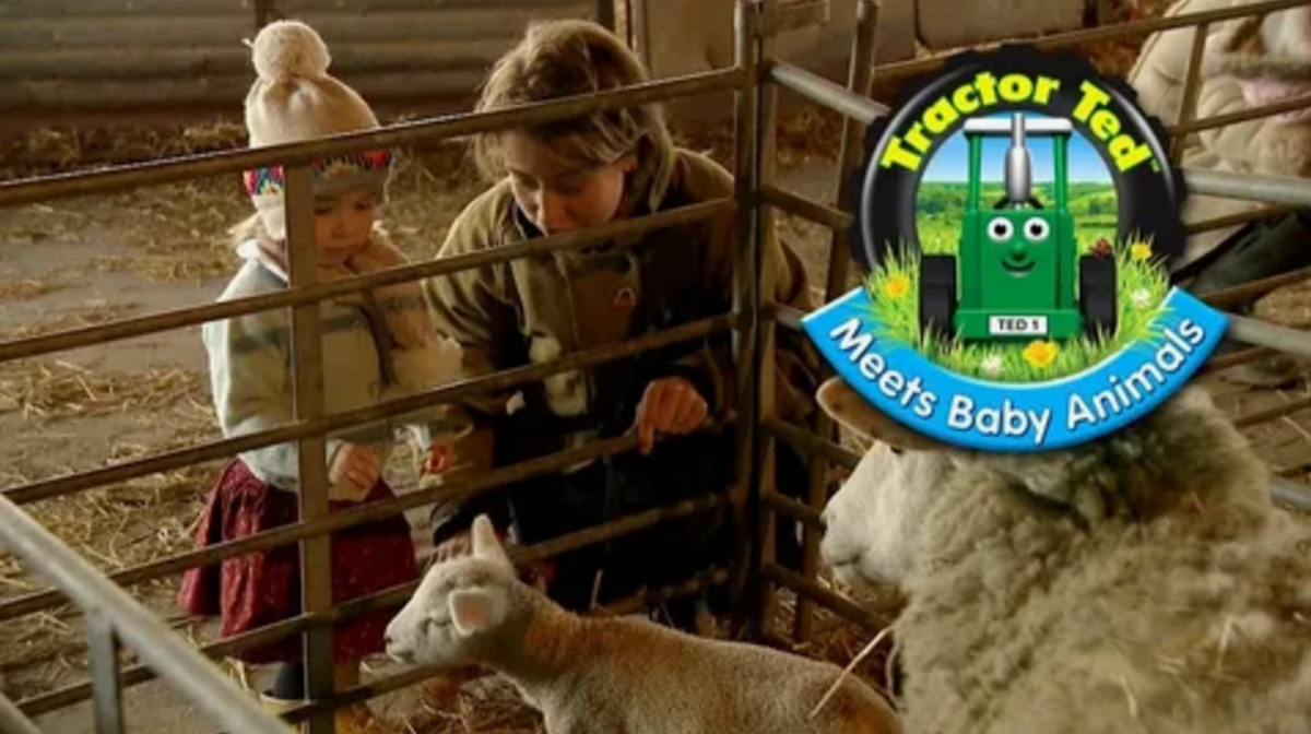 С жителями на ферме тоже знакомимся)