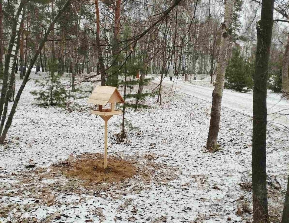    Кафе представляют собой небольшие деревянные домики с кормом для обитателей парка