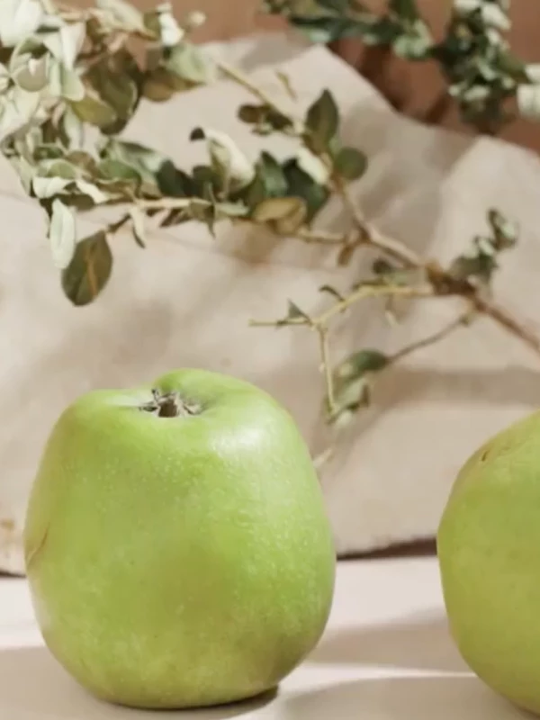  📷    Чекап всему голова: собрали в health-дайджест самое главное об анализах, витаминах и гормонах (фото 1)