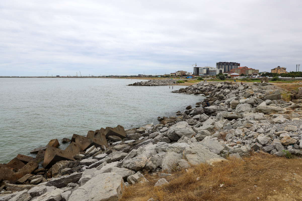 Фото: Елена Афонина/ТАСС