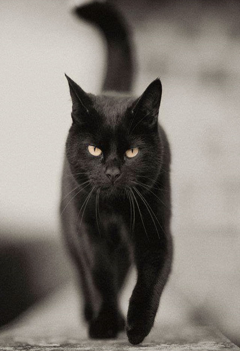 Фото с ru.pinterest.com для примера