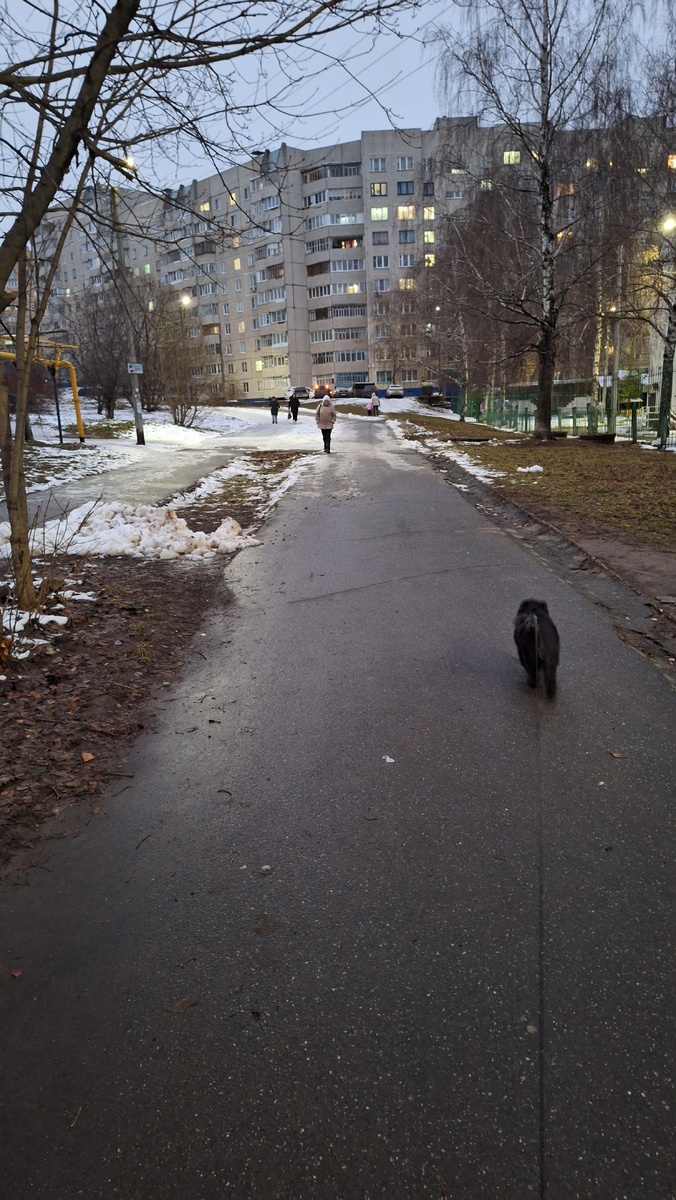 Вот такое у нас было утро