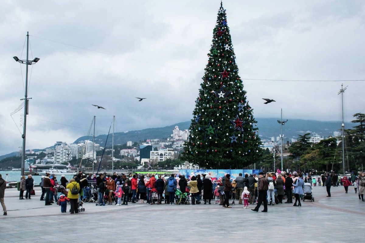 Ёлка на набережной Ялты // Фото администрации Ялты