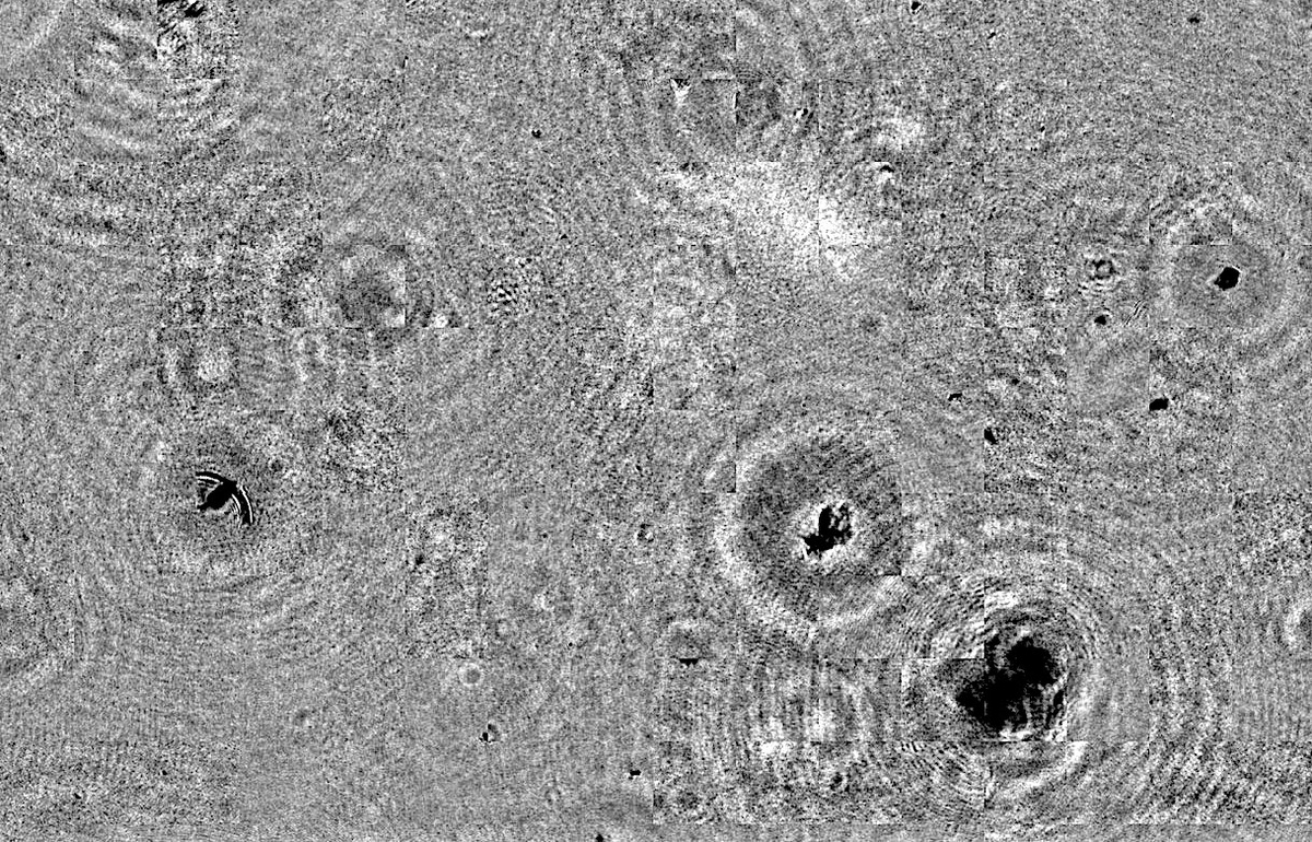 Изображение с морскими частицами — планктоном, сформированное посредством цифрового восстановления голограммы в процессе дрейфа ЛСП. Источник: ТГУ / news.tsu.ru