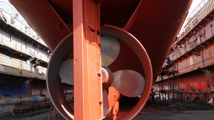    Фото: ИЗВЕСТИЯ/Павел Волков; 5-tv.ru