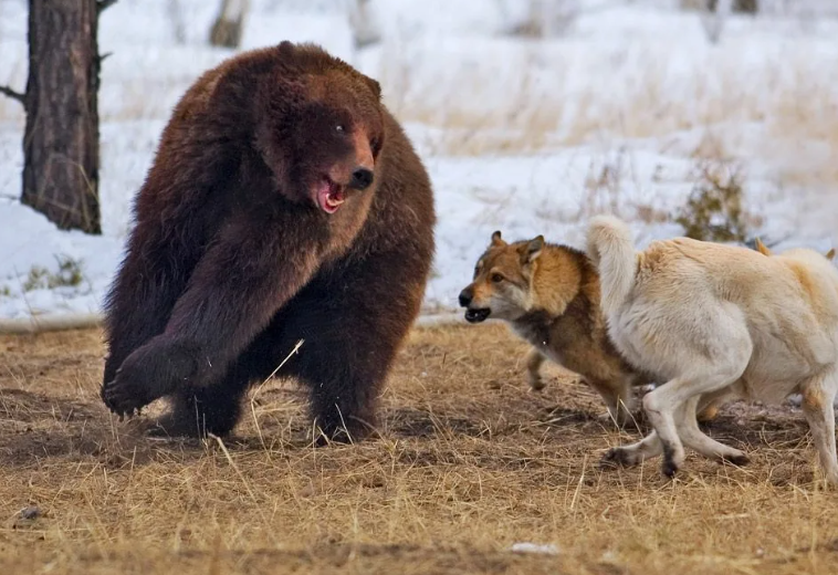 Тут что-то не так?