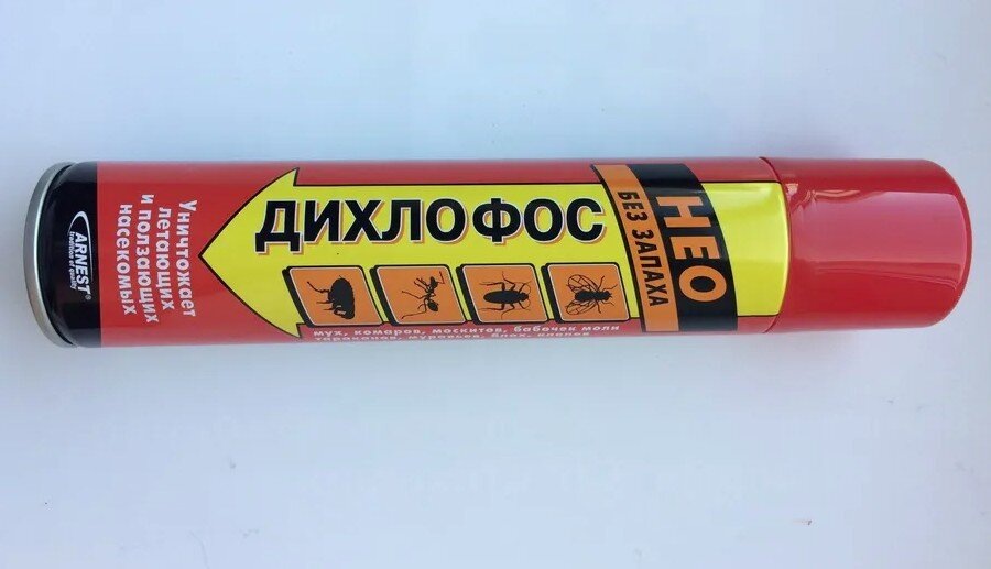    Фото: социальные сети