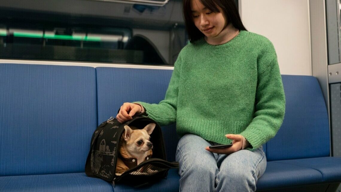 Фото: freepik / freepik.com.