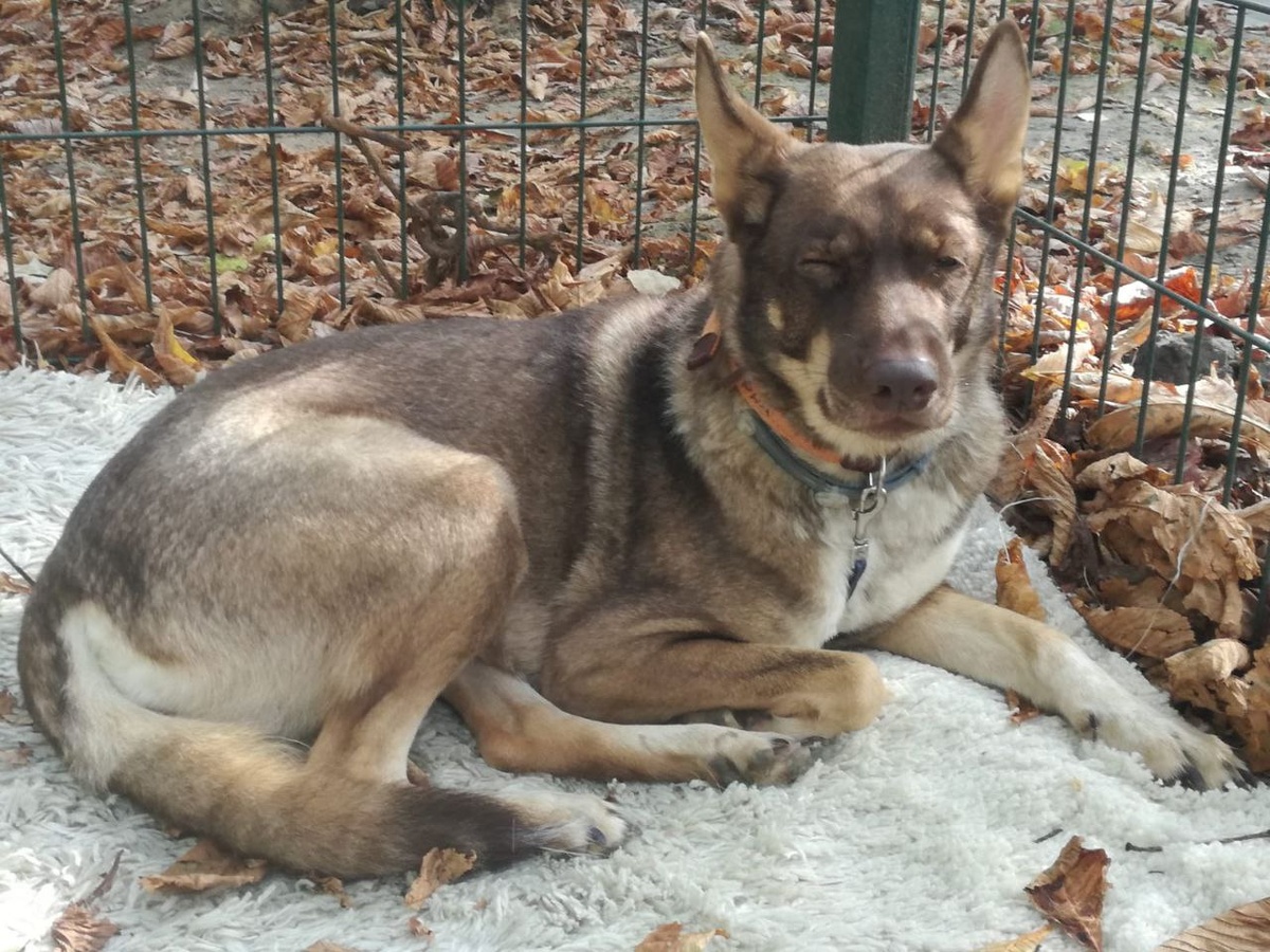 Тот самый сентябрьский день у некоторых начался вот с такой находки....