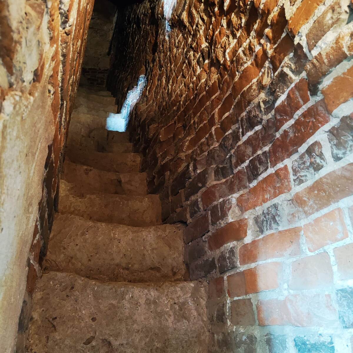 Не сон про Семейное древо