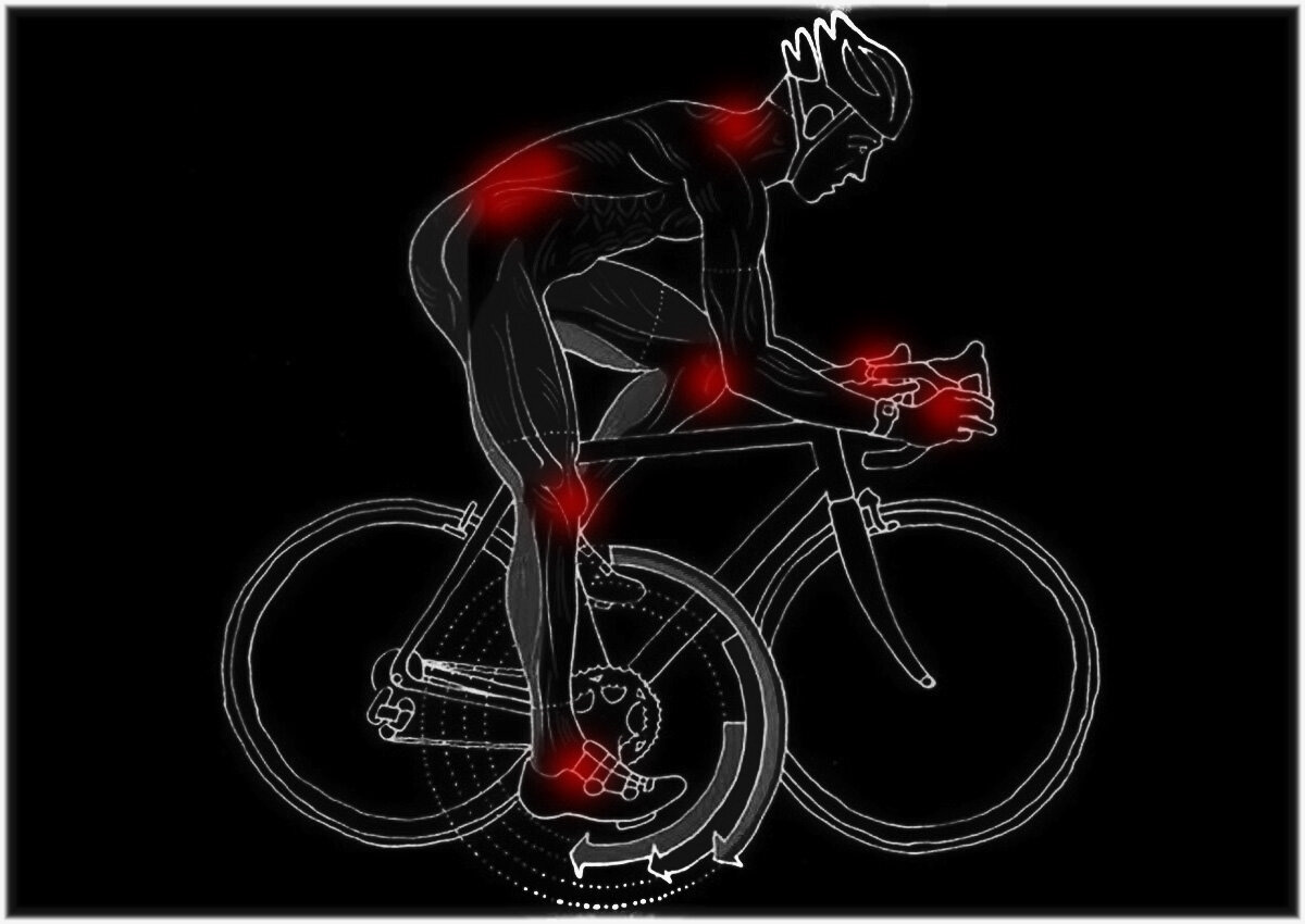 Нагрузочные узлы в теле человека при езде на велосипеде