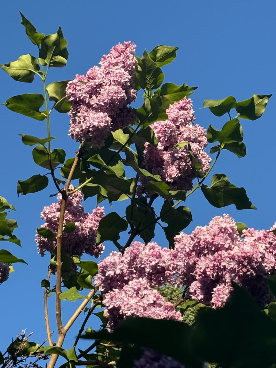 Мир прекрасен вне вещей 