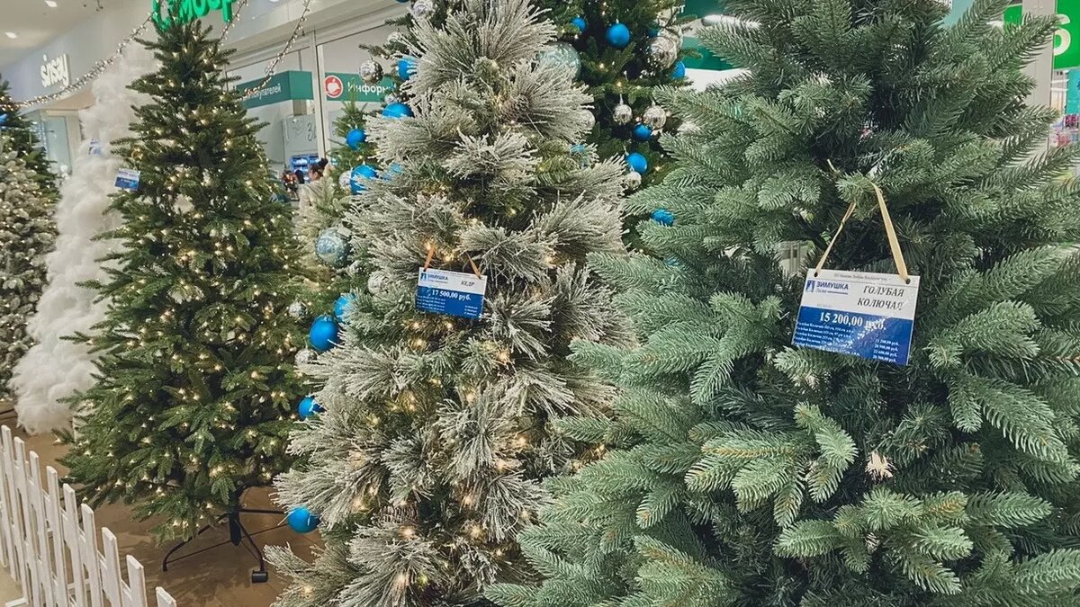     Источник: 1MI