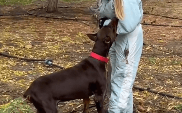    Фото t.me/gmrlive