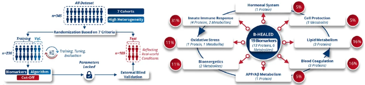     Алгоритм B-HEALED предсказывает риск болезни Альцгеймера у пациентов с когнитивными нарушениями B. Souchet et al. / Journal of Prevention of Alzheimer's Disease, 2024