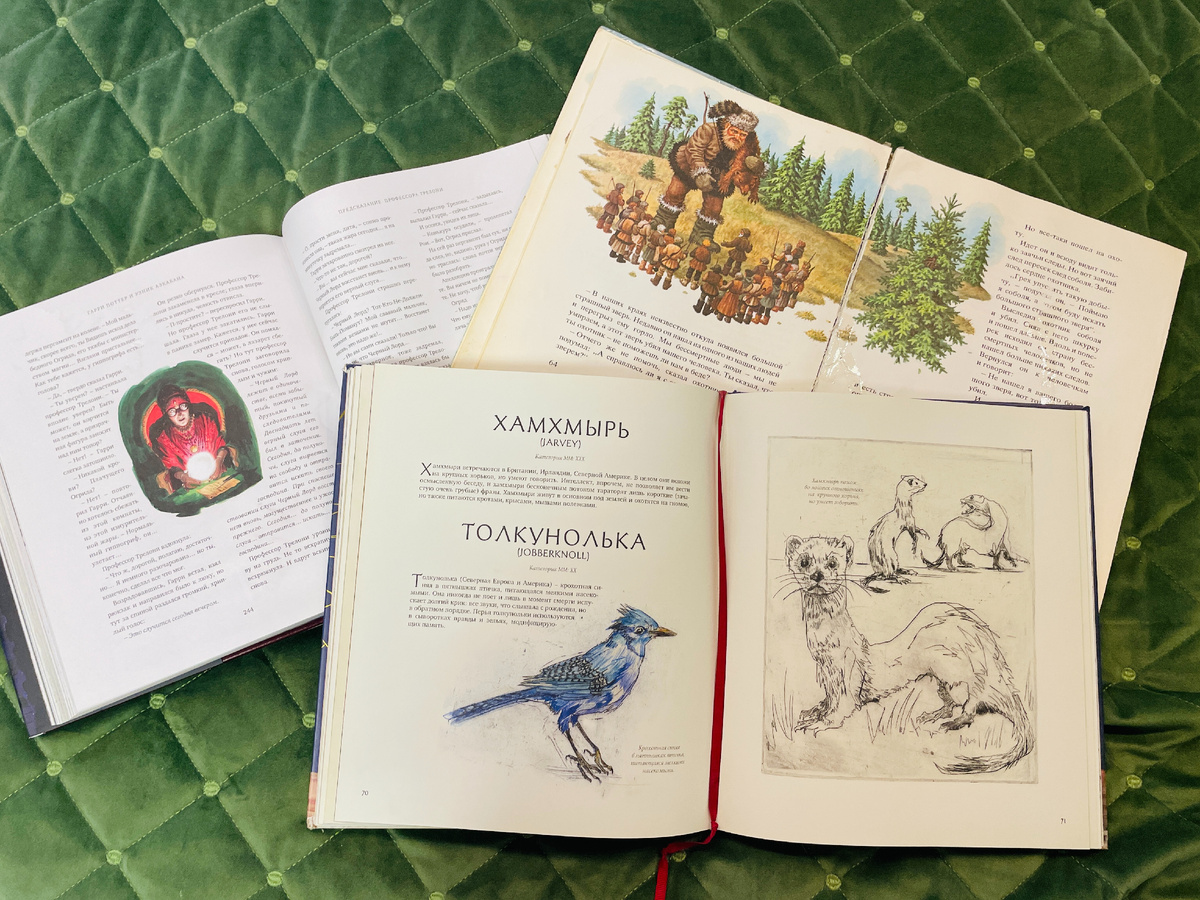 Обожаю книги с иллюстрациями. Как профессионал я рисовать никогда не буду, но хотябы поставлю себе навык как любитель. 