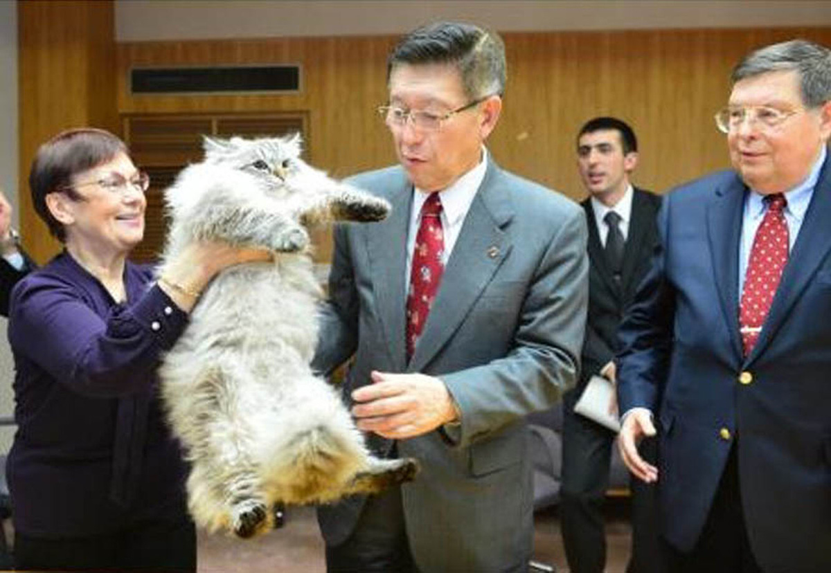 Источник https://images.techinsider.ru/upload/img_cache/416/416f5a8056d91e3922654b656c40ccde_cropped_1332x918.jpg