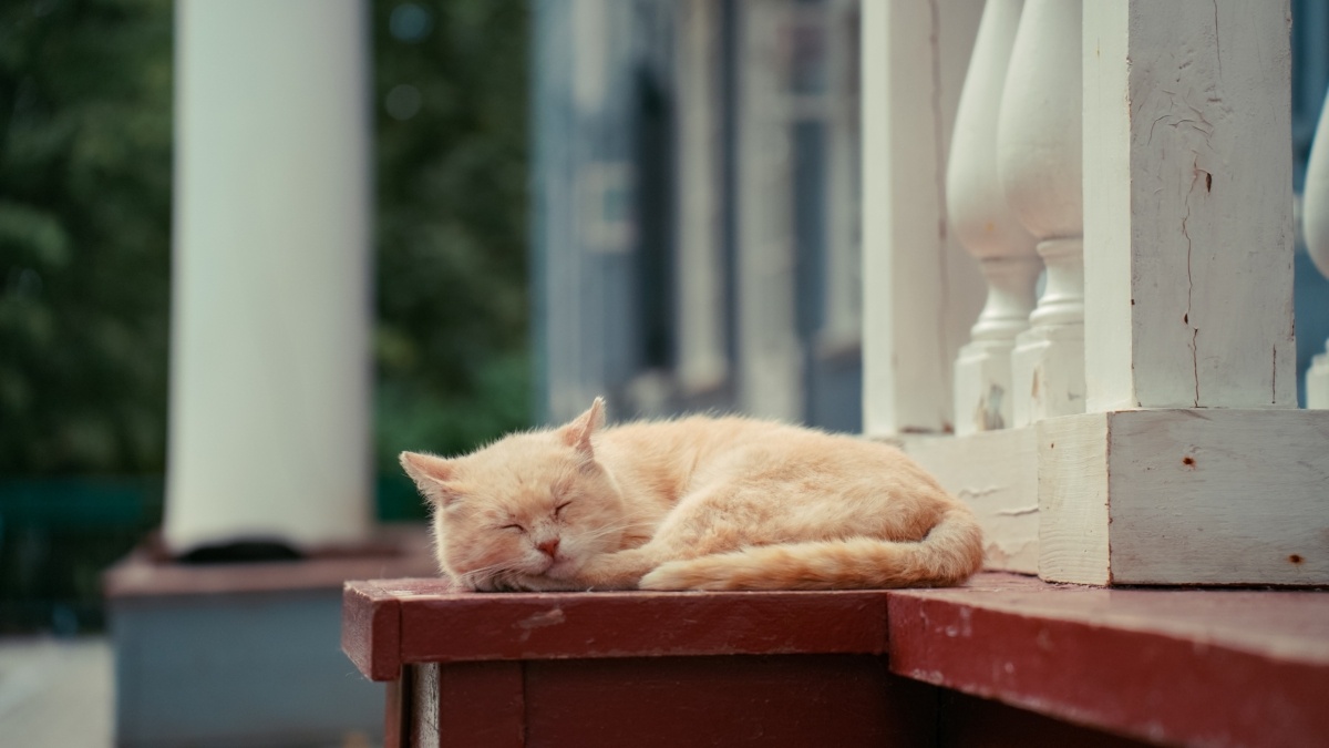 Светлана Мулыкина📷
