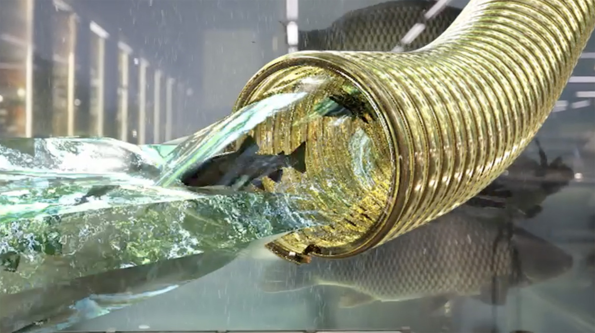 Шланги и Рыба А  в чем связь?