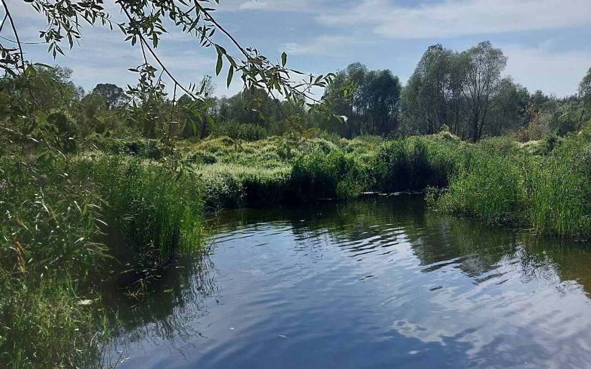    Реку Усмань будут расчищать в рамках федерального проекта «Вода России» Фото редакции