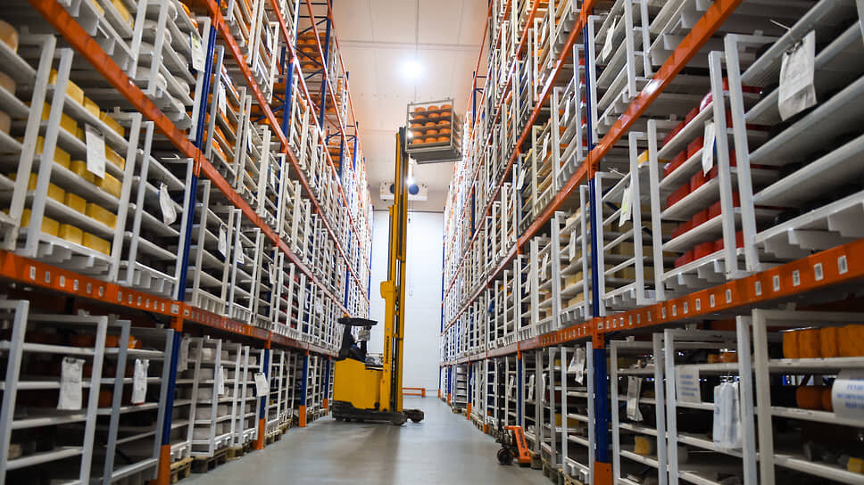 Фото: Виктор Коротаев / Коммерсантъ