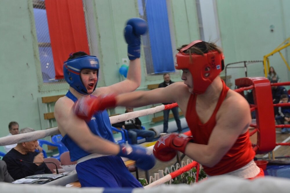    Фото:  АиФ/ Виктор Шубин