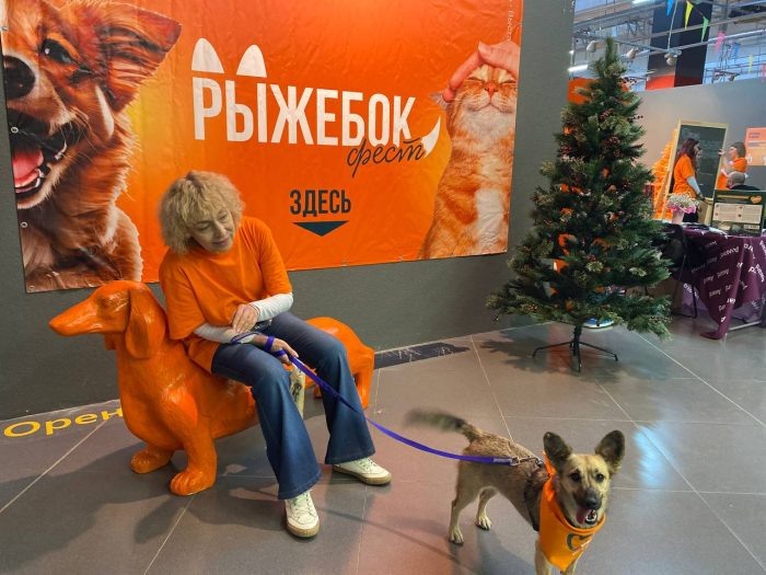  📷 📷 📷 📷 📷