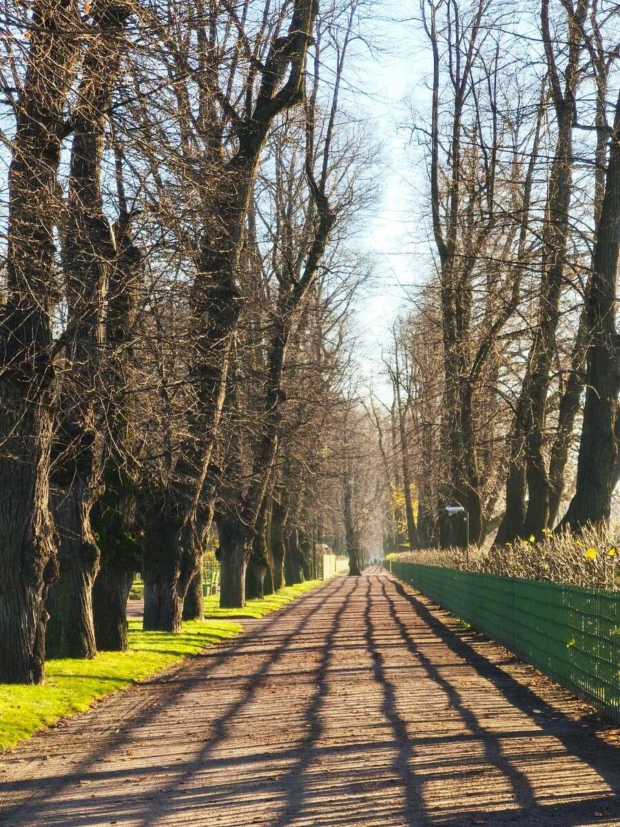 Сон про персональные колоды карт