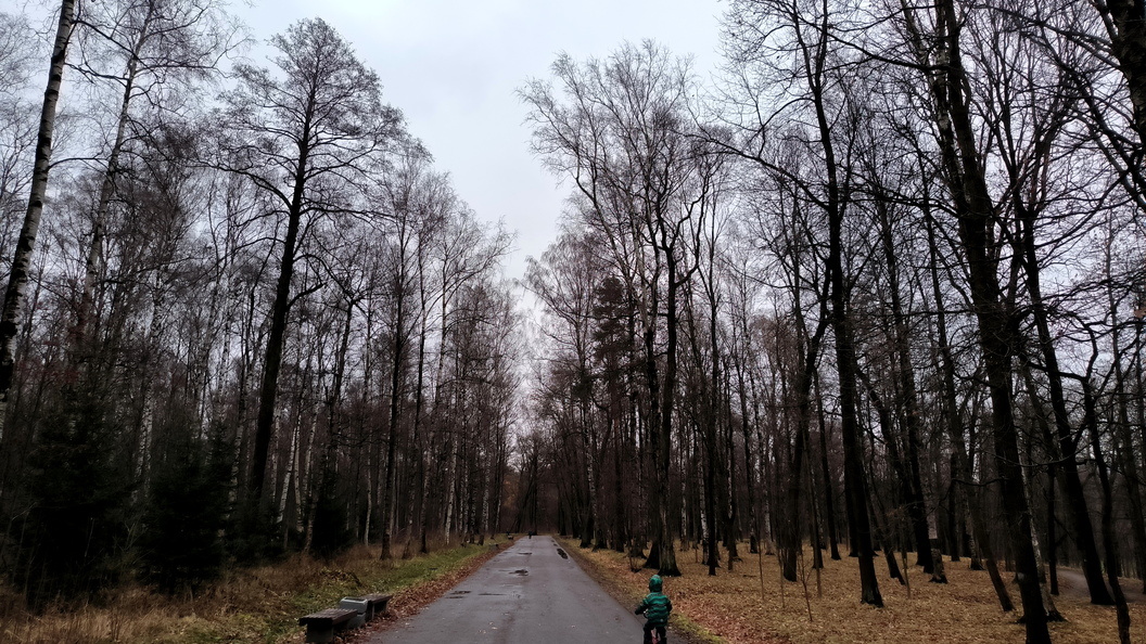    Фото: Maksim Konstantinov/Globallookpress.