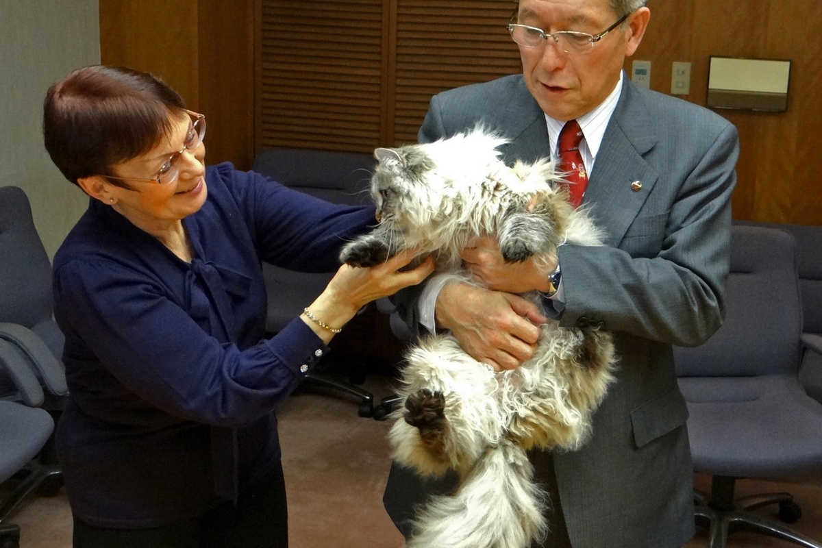 Фото © Игорь Беляев / ТАСС