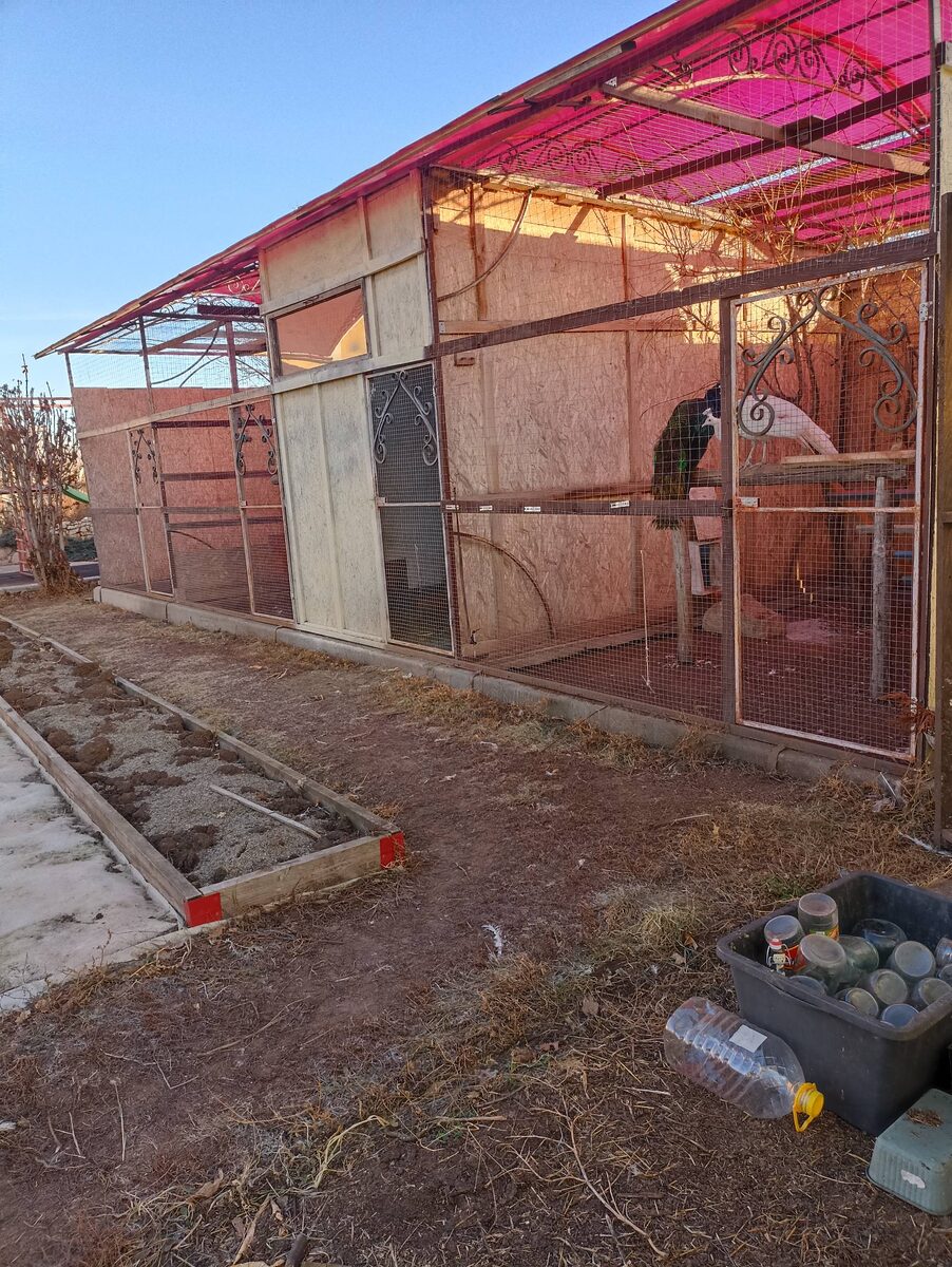 Поздняя осень