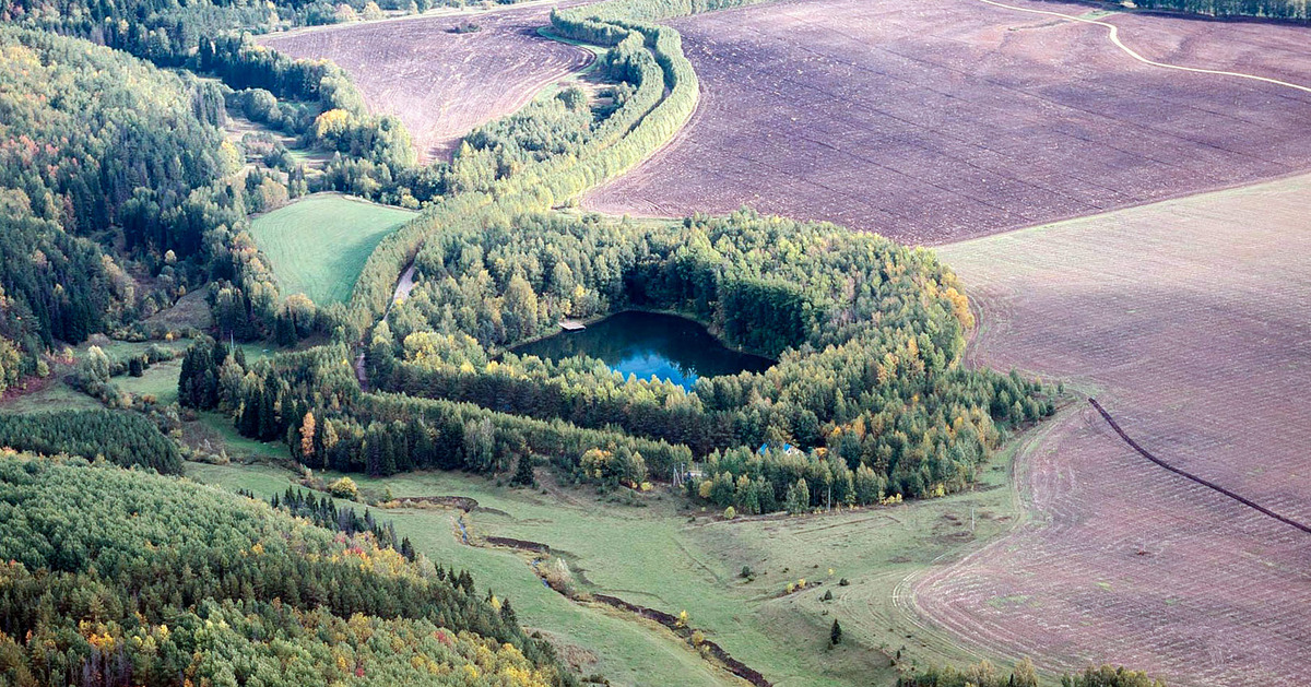 Из открытых источников.