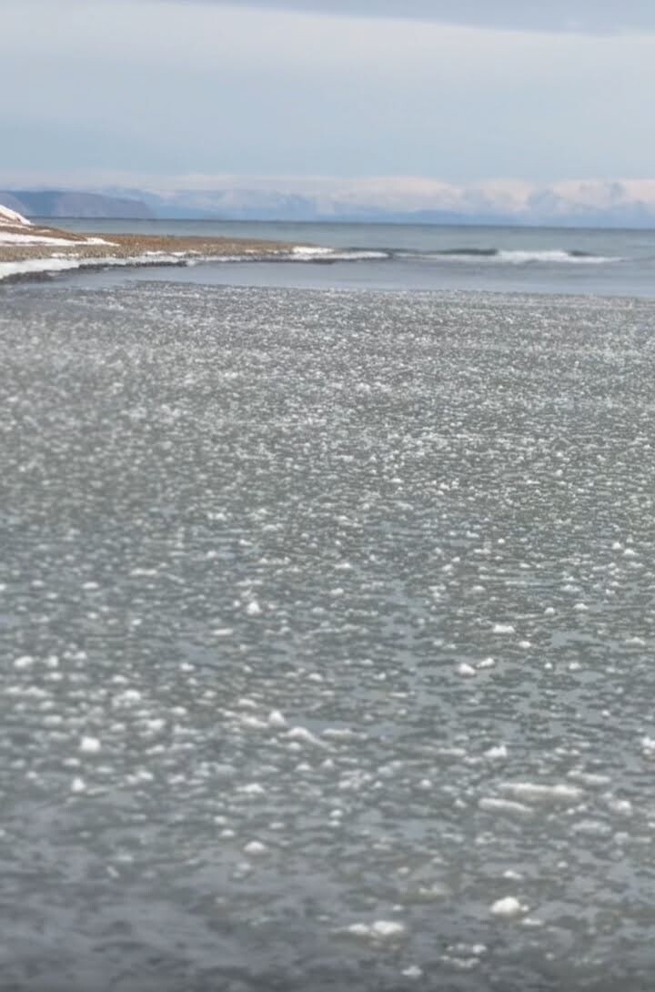 это беби шуга