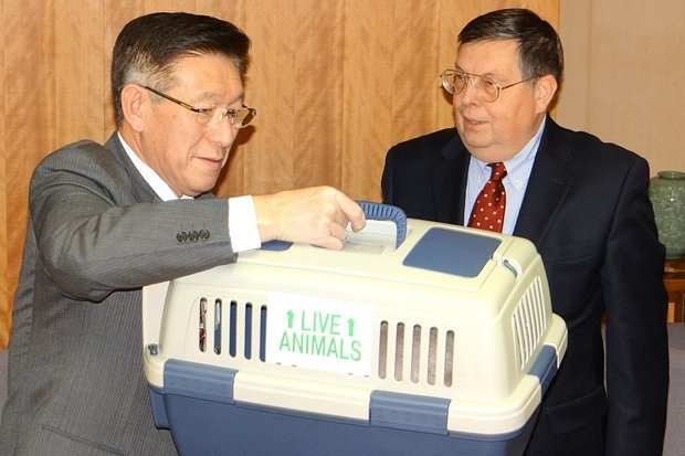    Фото: Игорь Беляев / ТАСС